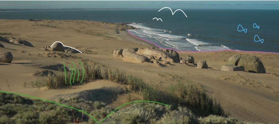 Dunas y mar de Uruguay 