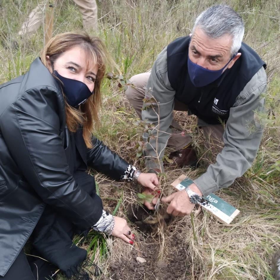 Restauración monte nativo La Ministra Dra. Irene Moreira y el Director Nacional de Medio Ambiente en la restauración de monte nativo en Paso Severino