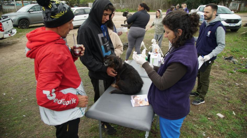 Se comenzó a brindar atención a animales domésticos en asentamientos Se comenzó a brindar atención a animales domésticos en asentamientos