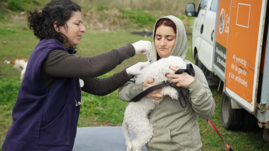 Se comenzó a brindar atención a animales domésticos en asentamientos Se comenzó a brindar atención a animales domésticos en asentamientos