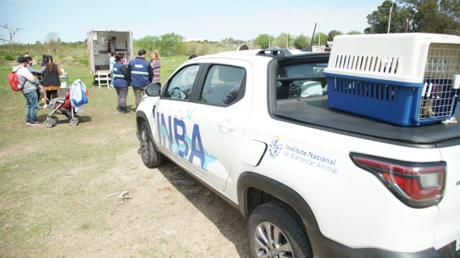 Se comenzó a brindar atención a animales domésticos en asentamientos Se comenzó a brindar atención a animales domésticos en asentamientos