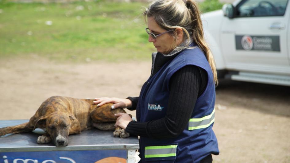 Se comenzó a brindar atención a animales domésticos en asentamientos Se comenzó a brindar atención a animales domésticos en asentamientos