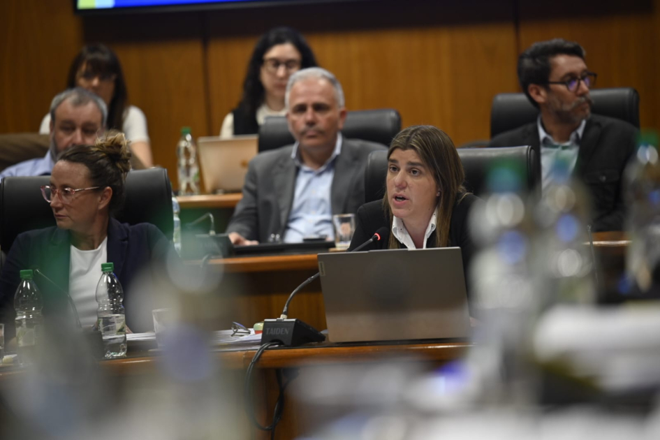 Presentación Plan Quinquenal Ministra dando disertación.