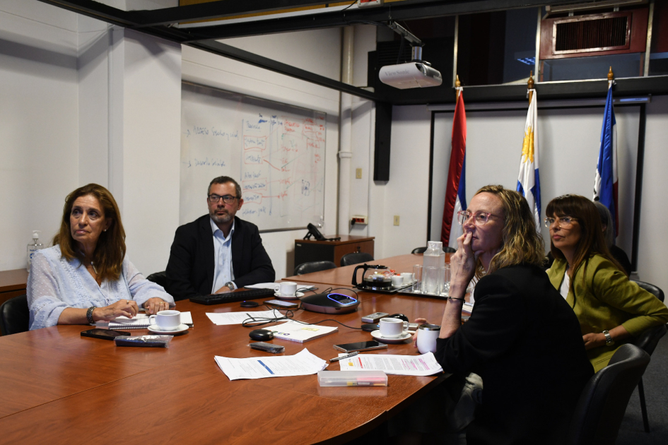 Conferencia y charla.