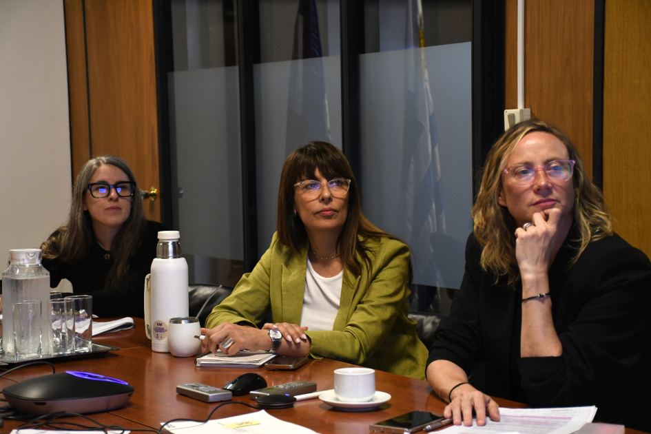 Conferencia y charla.