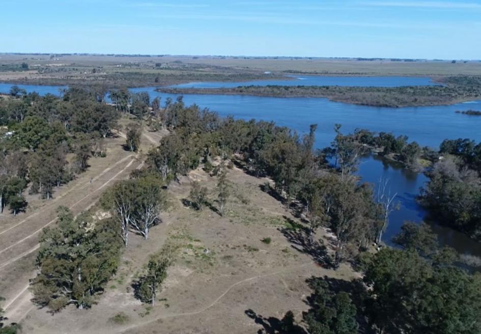 Región Centro Foto aérea de Paso de los toros donde se ve el río Negro, arboles y verde