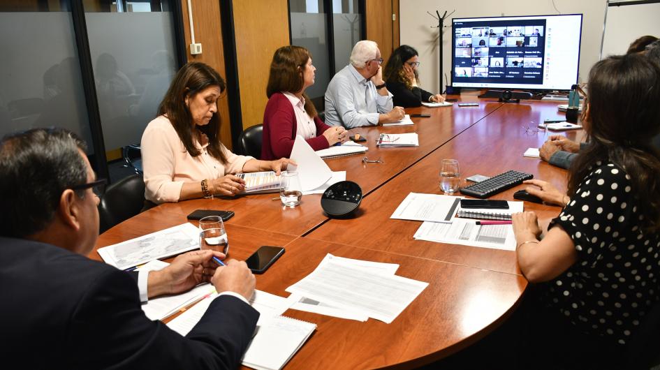 " Reunión de la Comisión de la cuenca del río Negro