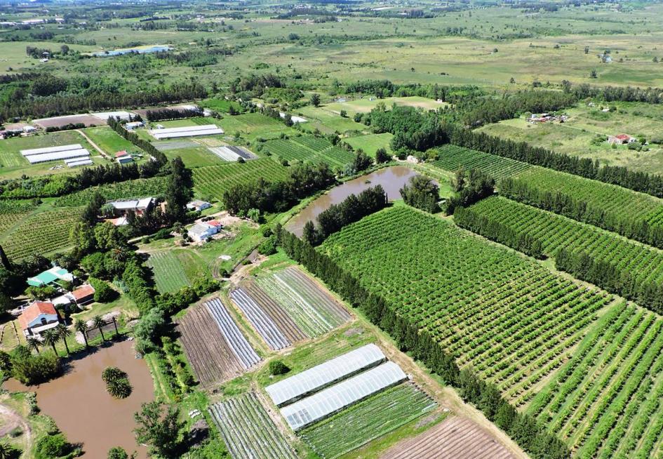 Foto aérea de Canelones donde aparecen diferentes actividades agrícolas