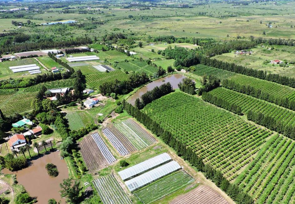 Uruguay Foto aérea de Canelones donde aparecen diferentes actividades agrícolas