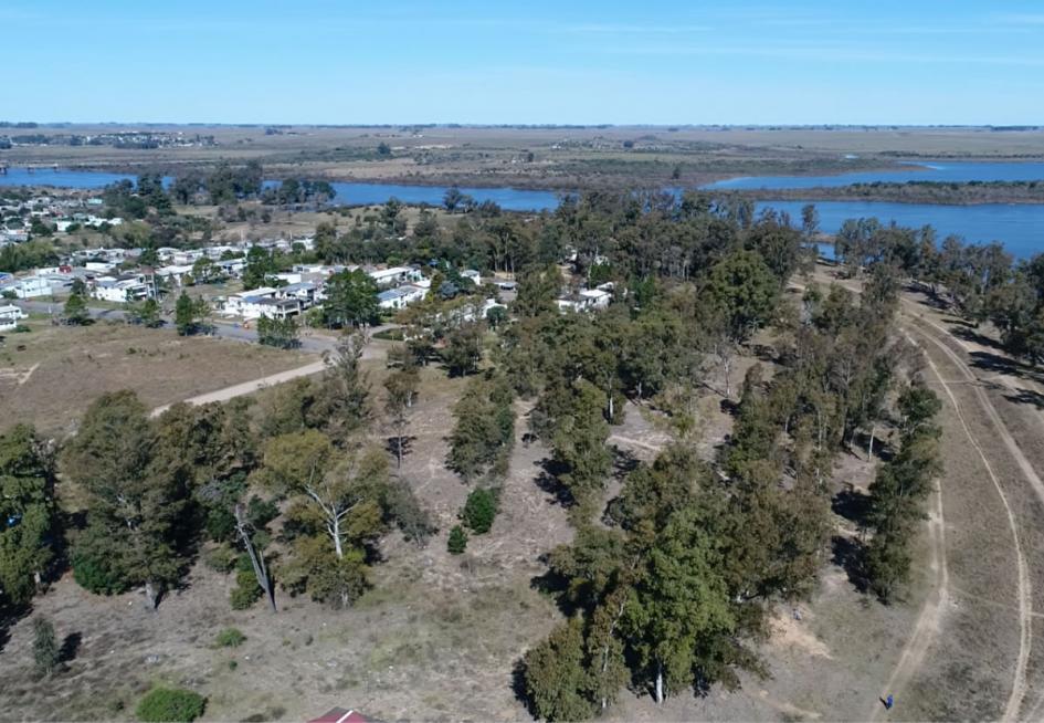 Foto aérea de Paso de los Toros. Se ve el río Negro, la parte final de la ciudad, arboles y verde