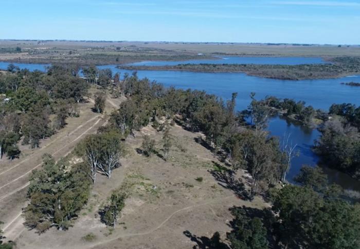 Foto aérea de Paso de los toros donde se ve el río Negro, arboles y verde 