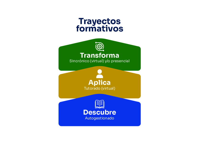trayectos formativos