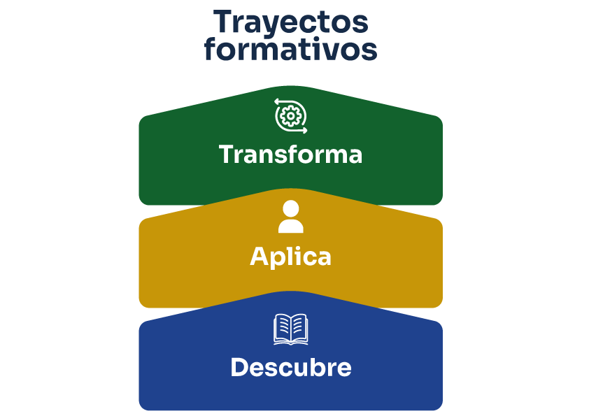 Trayectos formativos