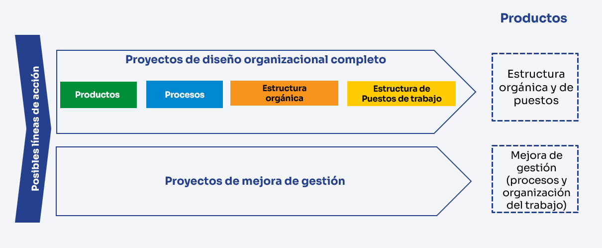 líneas de acción