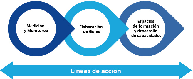 El proyecto tiene tres grandes líneas de acción: medición y monitoreo, elaboración de guías, y espacios de formación y desarrollo de capacidades. 