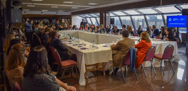 Primera reunión del Consejo Nacional de Género del Instituto Nacional de las Mujeres del período