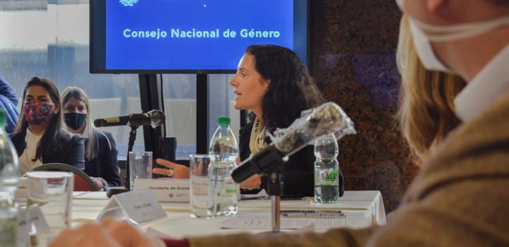 Primera reunión del Consejo Nacional de Género del Instituto Nacional de las Mujeres del período