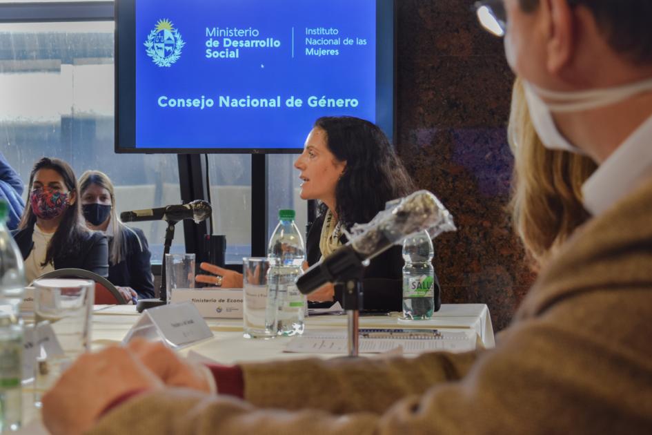 Primera reunión del Consejo Nacional de Género del Instituto Nacional de las Mujeres del período Primera reunión del Consejo Nacional de Género del Instituto Nacional de las Mujeres del período