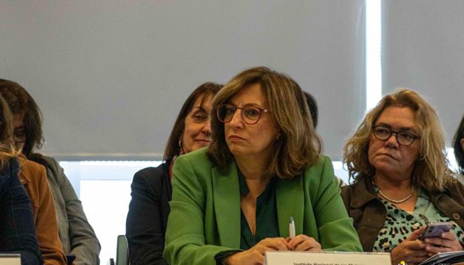 Mónica Bottero, Directora del Instituto Nacional de las Mujeres Mónica Bottero exponiendo en el Consejo Nacional de Género