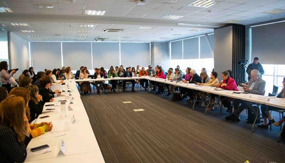 Foto de todos los participantes de la sesión anual del Consejo Nacional de Género 