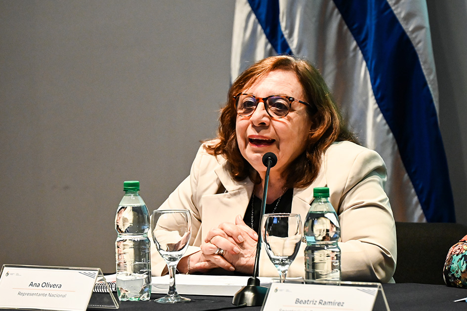 Ana Olivera, Diputada Nacional