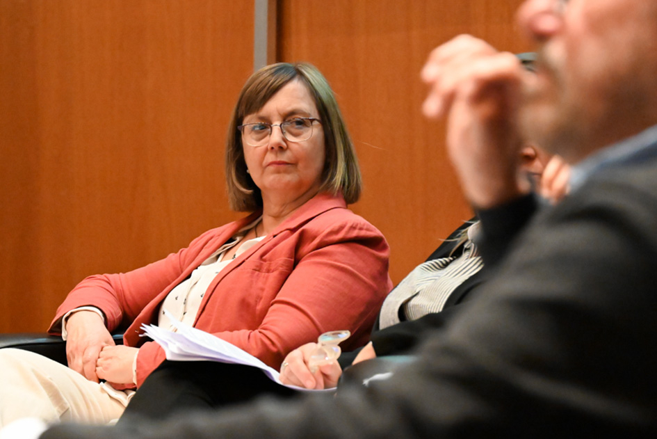 Implementación, desafíos y futuro de la Ley de Salud Mental