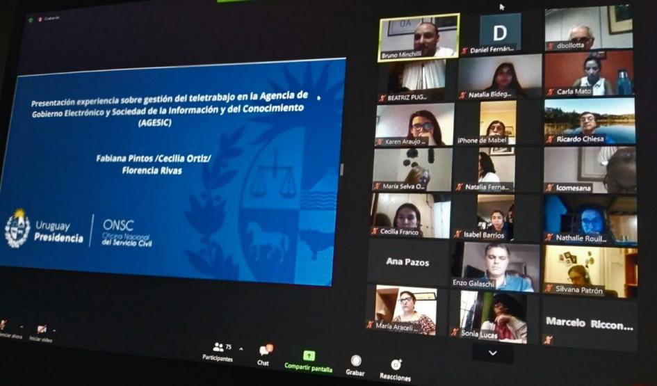 Captura de pantalla. Participantes en reunión virtual