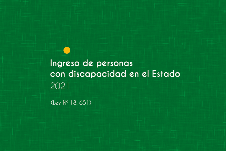 Tapa del informe con el texto "Ingreso de personas con discapacidad en el Estado, 2021"