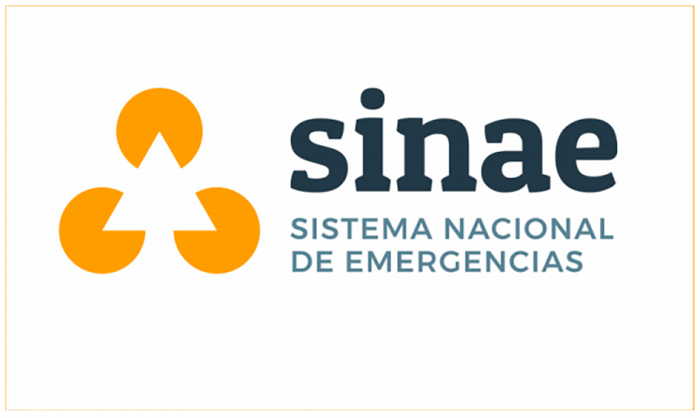 Logo del Sinae