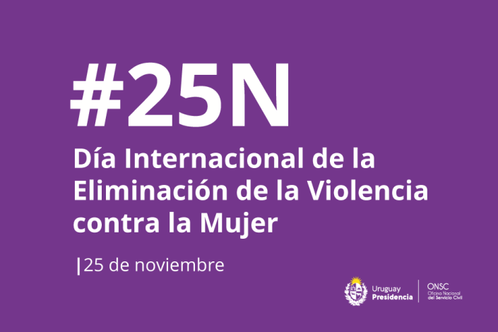 Placa 25N