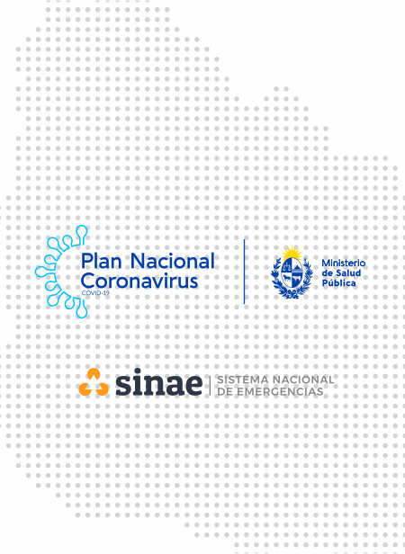 Informe del Sinae