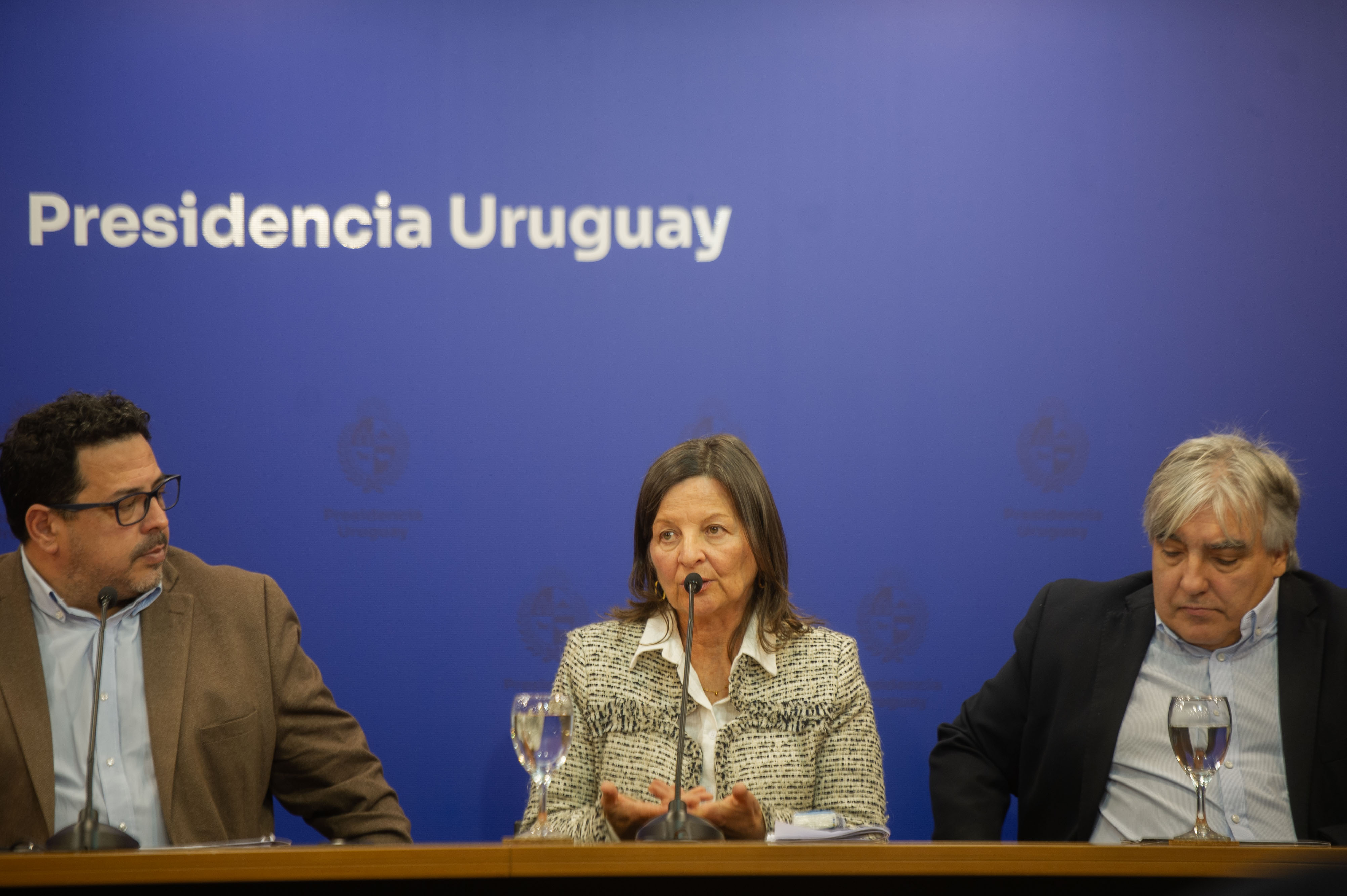 Sánchez, Zubillaga y Paz
