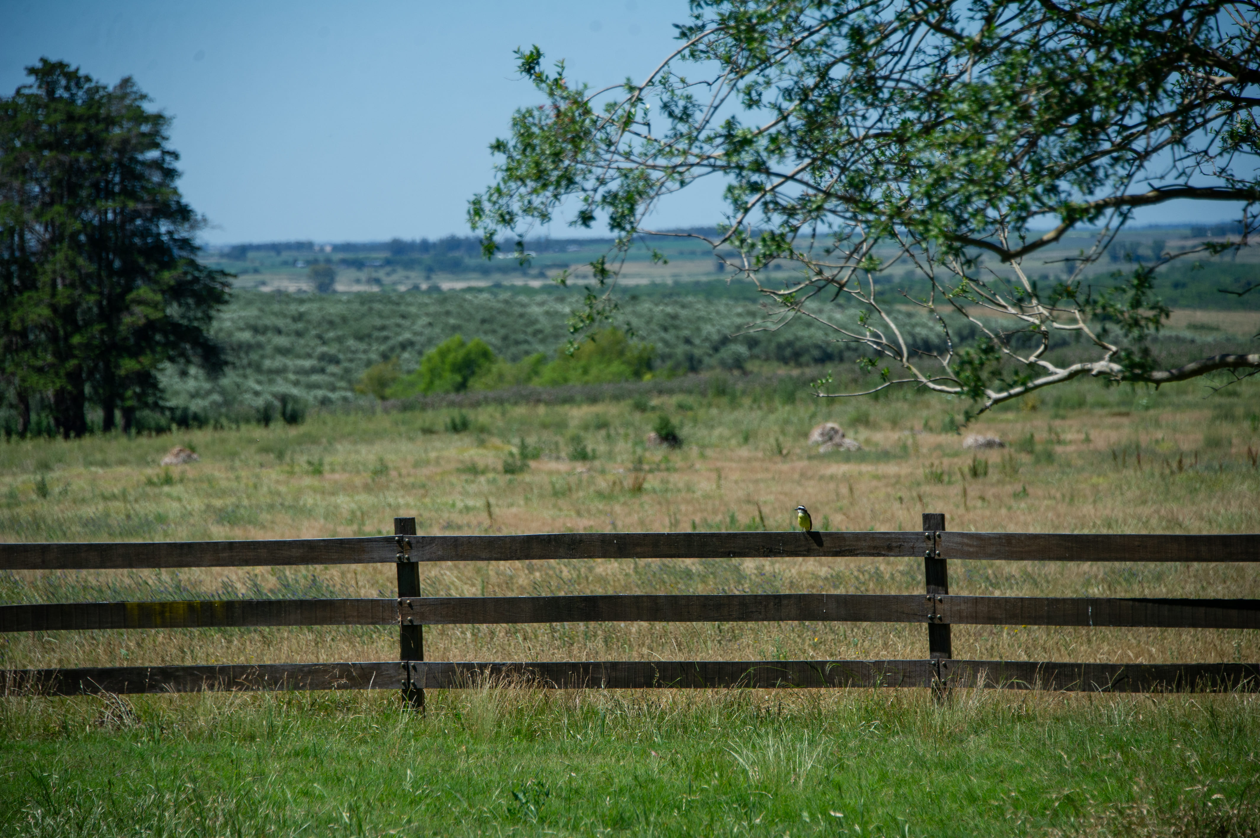 Estancia María Dolores, Florida
