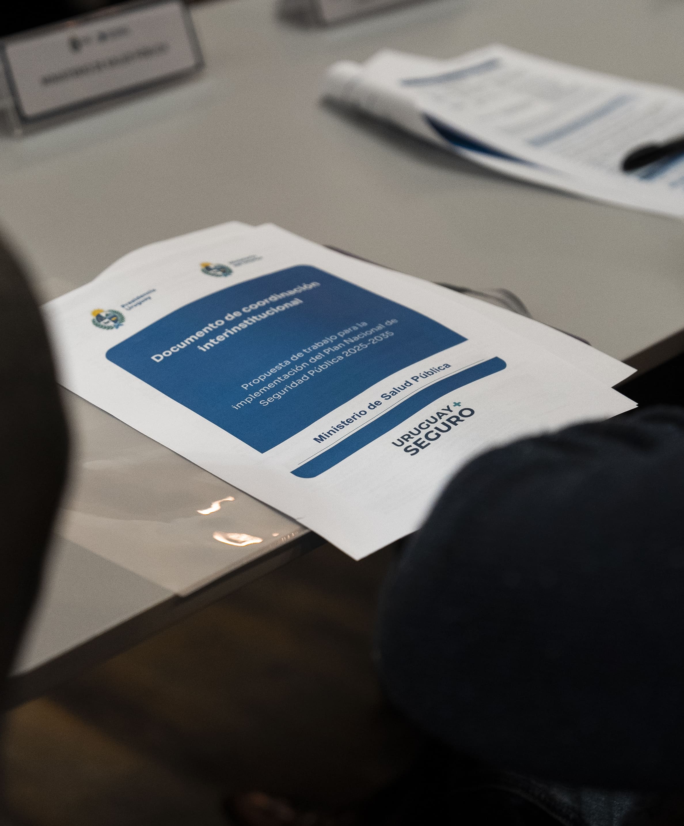Documento del Plan Nacional de Seguridad Pública
