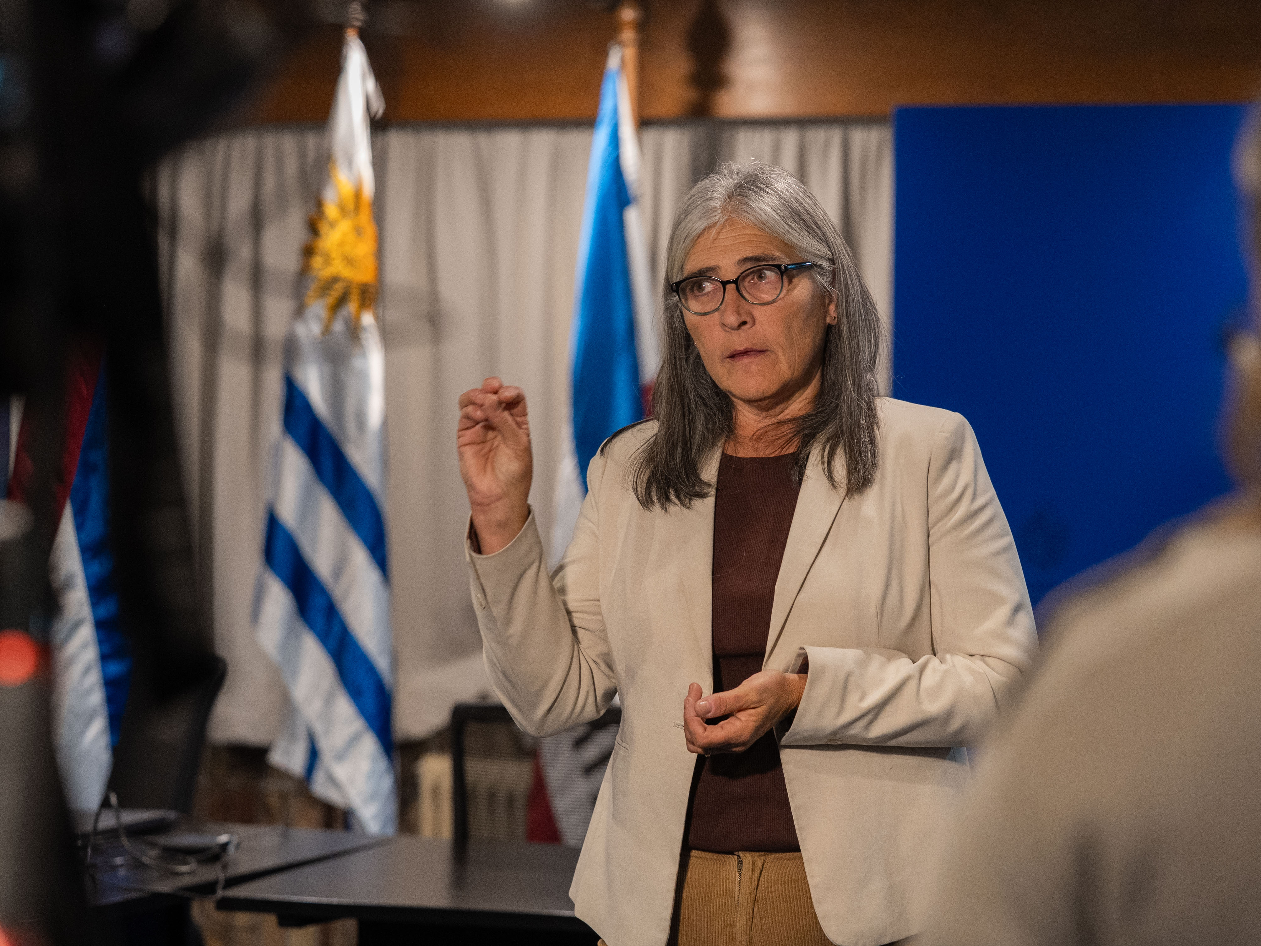 Ministra Lucía Etcheverry