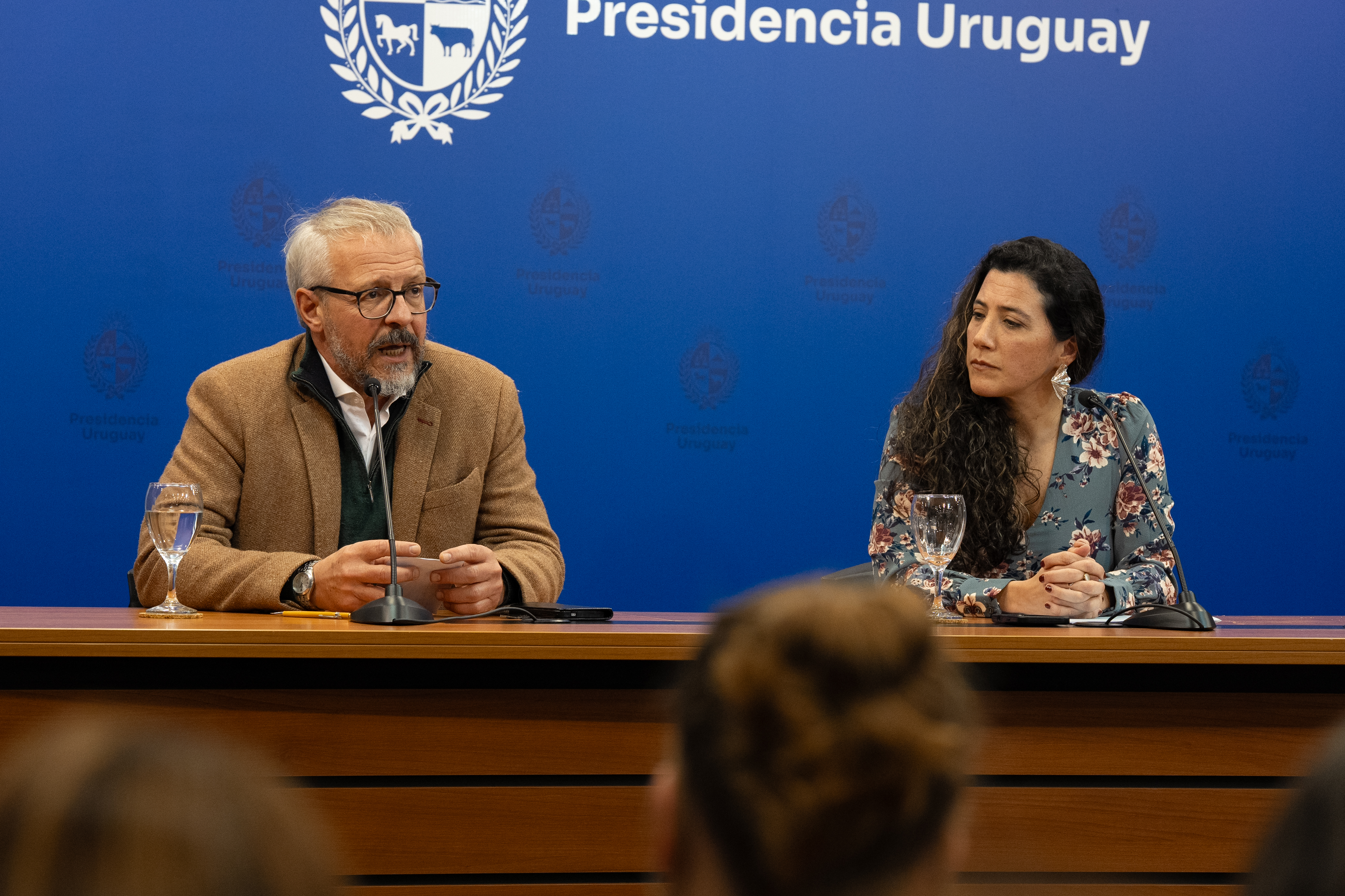 Briozzo y González