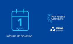 Informe del Sinae
