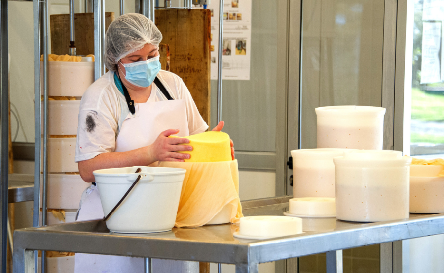 Trabajadora de una empresa de productos lácteos, trabaja con quesos apoyados en una mesa.