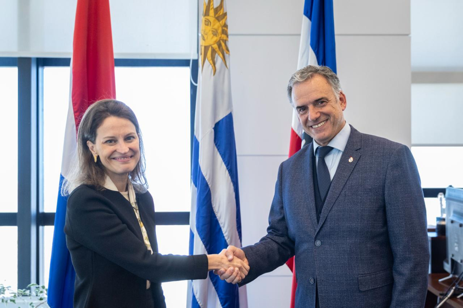 Cordeiro y Orsi