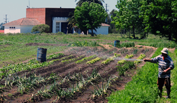Agricultura familiar