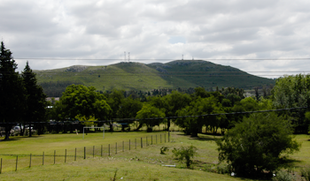 Campo uruguayo. Campo uruguayo.