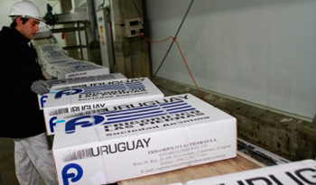 Análisis de riesgo sobre la carne uruguaya por parte de técnicos japoneses dio resultados positivos, afirma Francisco Muzio. Análisis de riesgo sobre la carne uruguaya por parte de técnicos japoneses dio resultados positivos, afirma Francisco Muzio.
