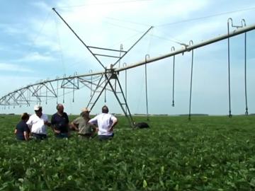 Sistema de riego en cultivo
