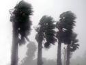 Tormenta Tormenta