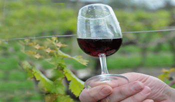 Vino de producción nacional Vino de producción nacional
