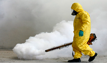 Intensificación de campaña de fumigación en Pocitos, Montevideo