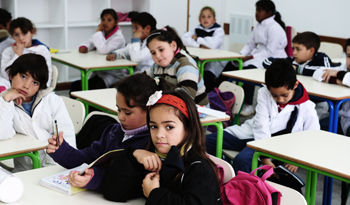 Escolares Escolares