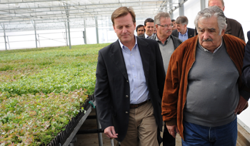 Presidente José Mujica de visita en vivero Santana de UPM, Guichón, Paysandú