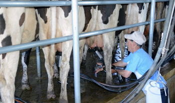 Colonos de Canelones y Florida sin deudas vencidas tendrán plazo hasta el 30 de noviembre de 2015 para abonar la renta del INC Colonos de Canelones y Florida sin deudas vencidas tendrán plazo hasta el 30 de noviembre de 2015 para abonar la renta del INC