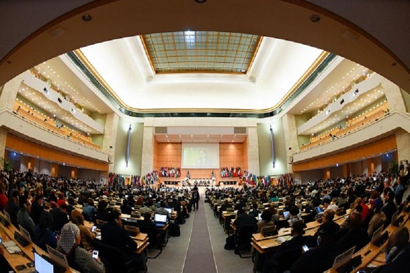 Organización Internacional del Trabajo Organización Internacional del Trabajo